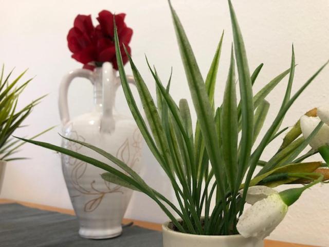 Apartament Casa Smeralda Villasimius Zewnętrze zdjęcie